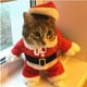 thumbnail image 1 of S Disfraces navideños para gatos, ropa divertida de Papá Noel para gatos pequeños, perros, Navidad, Año Nuevo, ropa para Gato, trajes de invierno para gatitos, 1 of 4