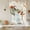 Linen Orange Sage Green, variant on Sage Green Pumpkins Tie Up Curtains 45 Inches Long, Kitchen Window Curtains Over Sink, Thanksgiving Leaves Beige Fall Small Window Curtains Shade Balloon Curtains Valances for Bedroom/Cafe 34"x45"