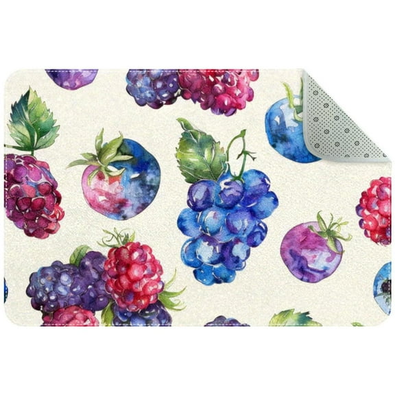 Bright Watercolor Berries Entryway Rug, 2x3 Area Rug Indoor Door Mat Non-slip Washable Floor Carpet Rug for Bedroom Office Dining Room Bathroom