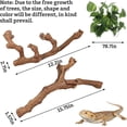 thumbnail image 3 of Snake Climbing Branch, 2Pcs Reptile Wood Natural Cork Log Tank Accessories Tree Trunk for Chameleon Bearded Dragon Gecko Snake Frog Spider, 3 of 8
