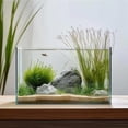 thumbnail image 1 of Vaso para pecera Vimvins de 19 litros para peces betta, peces de colores, caracoles y camarones, 1 of 7