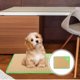 thumbnail image 1 of IFANLANDOR Para Mascotas Con Función Refrescante Y Compacto Color Para Interiores, 1 of 5