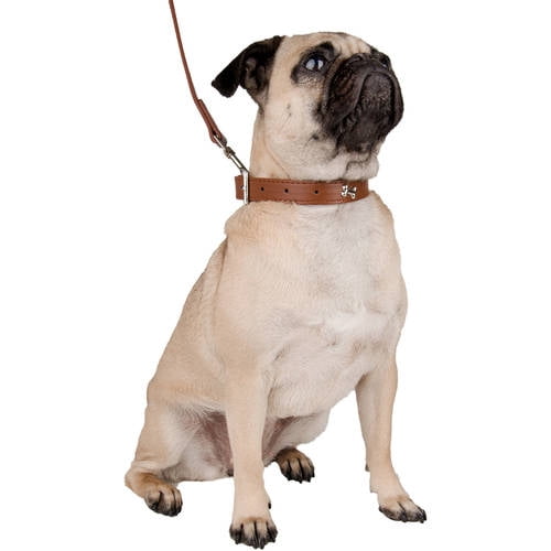 CUECUEPET Embellished Bone Charm Dog Collar and 44.5 inch Leash for Walking [Multiple Sizes]