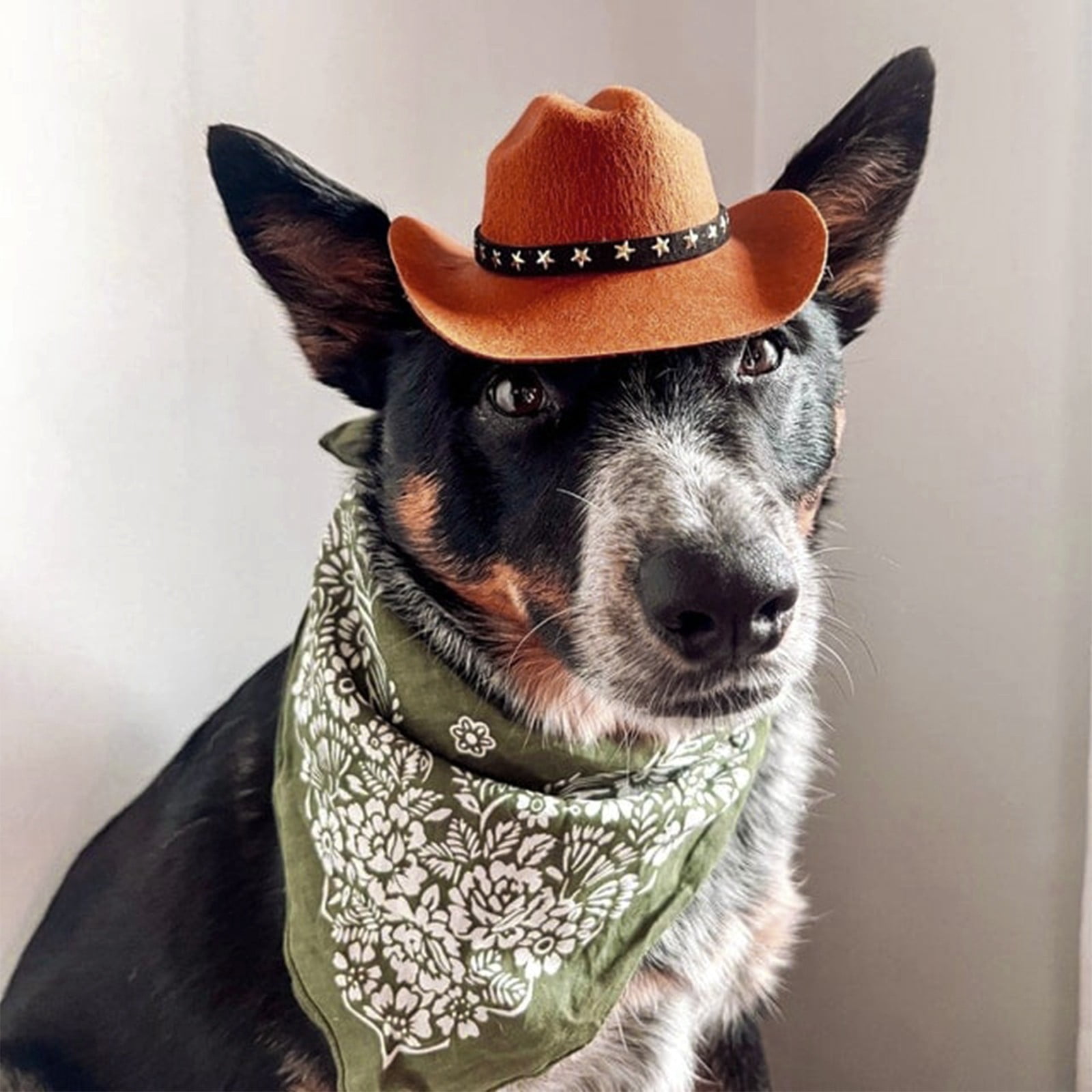 Coffee Star Decor Pet Cowboy Hat, Adjustable Western Style Pet Headwear, Cute Felt Puppy Kitten Hat for Birthday Party Photo Prop Daily Pet Accessories