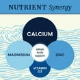 thumbnail image 2 of 4-in-1 Calcium Magnesium Zinc and Vitamin D3 Supplement Complex, 90 Tablets, 2 of 9