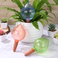 thumbnail image 1 of BESTYASH 3Ud Automatic Plant Watering Globes Con De Gotas Y Para Plantas En Maceta, 1 of 6