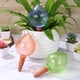 thumbnail image 1 of BESTYASH 3Ud Globos Automáticos De Para Plantas Con Material Plástico Resistente Y Uso, 1 of 6
