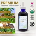 thumbnail image 2 of OKAY Exfoliante facial con control de aceite, exfoliante facial para mujeres y hombres, hidratante e iluminador, deja la piel suave y limpia, sin parabenos, limón, 6 onzas (paquete de 1), 2 of 5