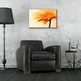 thumbnail image 4 of Epic Art 'Orange Flower on Orange' by Tom Quartermaine, Acrylic Glass Wall Art, 24"x16", 4 of 8