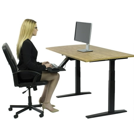 Rise Up Dual Motor Adjustable Height Electric Standing Desk 48x30a