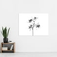 thumbnail image 2 of Schwartz NJIT Orchid Flower Transparent Greyscale X-Ray Photo Extra Large XL Wall Art Poster Print, 2 of 3