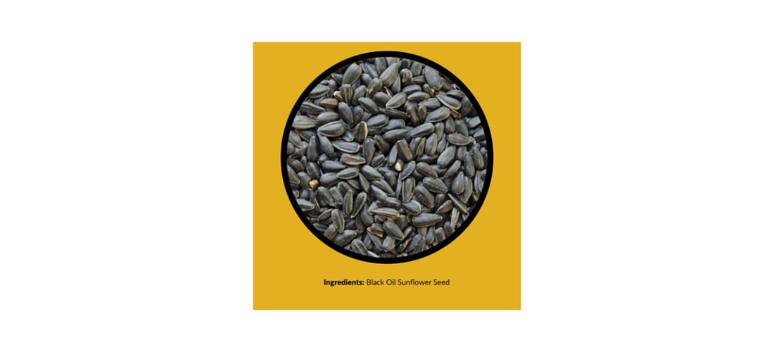 Lyric Wild Bird Feed Black Oil Sunflower Bird Food, 25 lb Bag