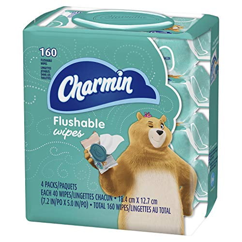 Charmin - Cleaning wipes - disposable - 40 sheets - pack of 4