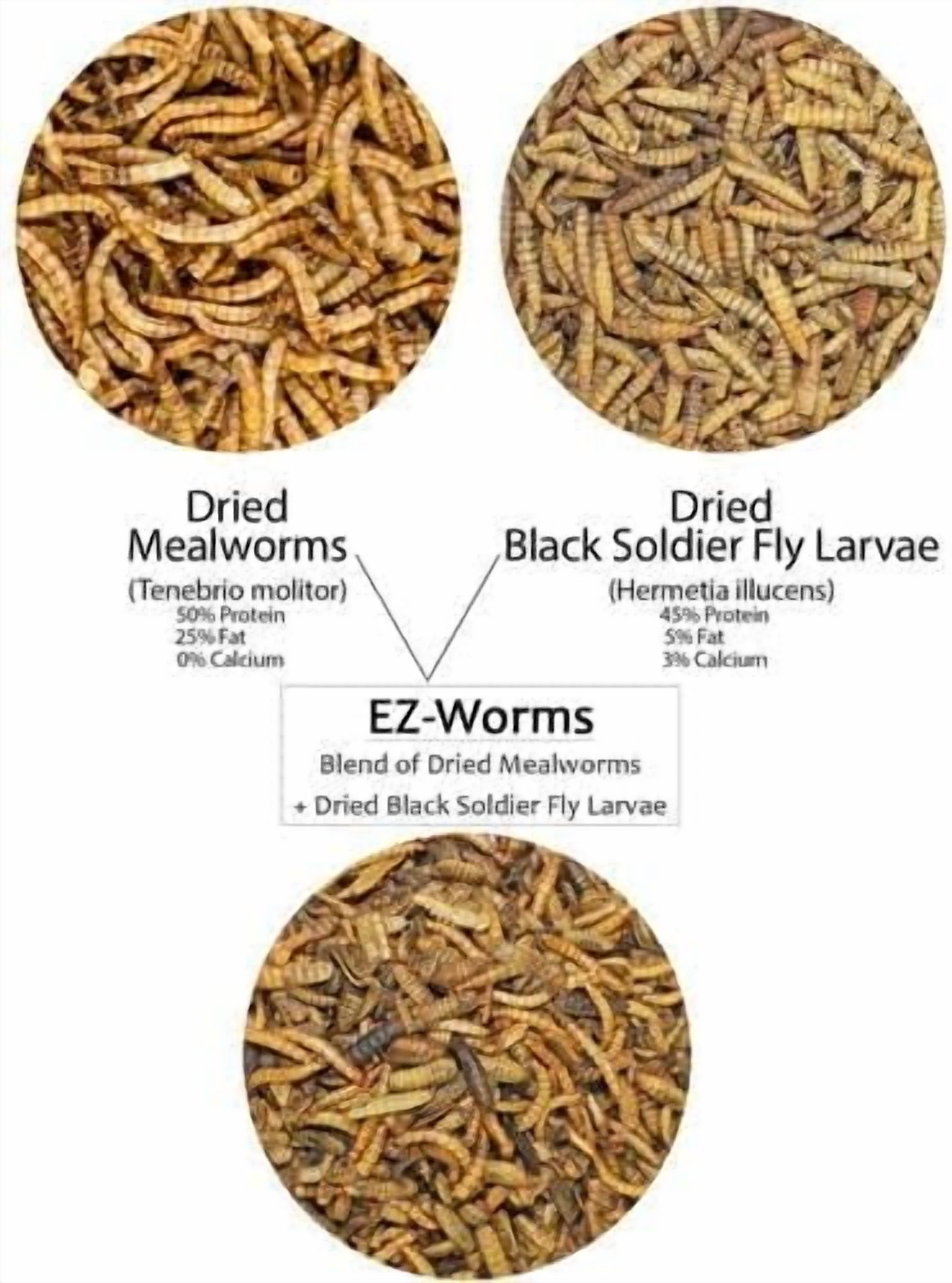 Exotic Nutrition EZ-Worms (20 lb.)- Blend of Dried Mealworms & Black Soldier Fly Larvae (BSFL) - Healthy Insect Treat - Chickens, Bluebirds, Sugar Gliders, Hedgehogs, Squirrels, Skunks, Reptiles