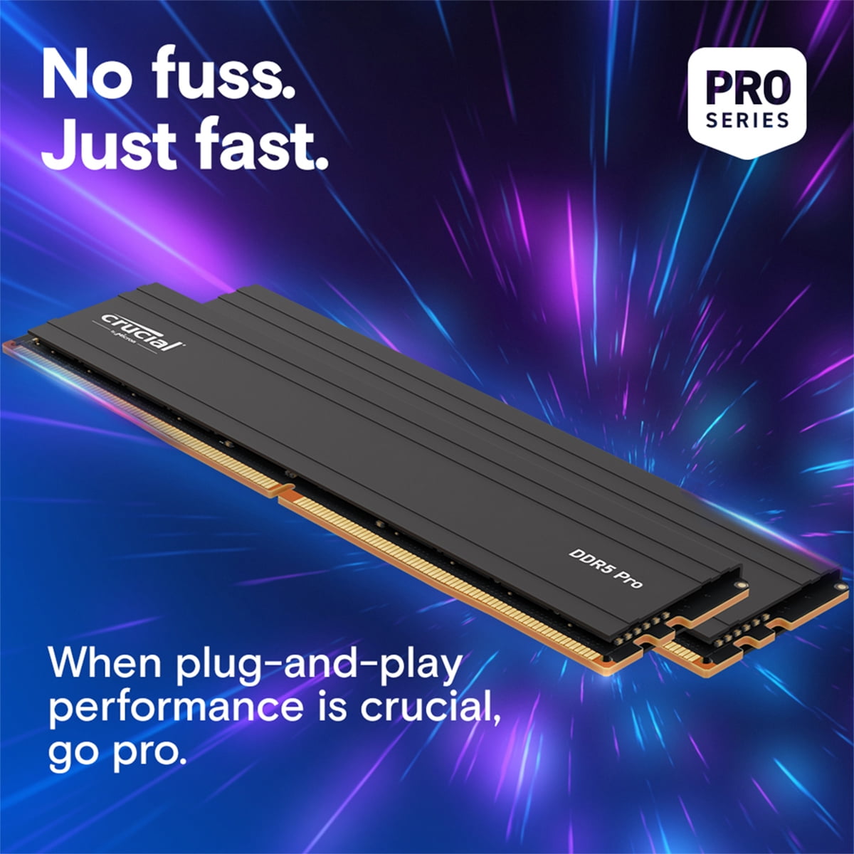【新品】Crucial DDR5-5600 48G CP2K24G56C46U5 Crucial PRO 48GB 2 x 24GB DDR5 SDRAM Memory Kit