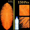 thumbnail image 2 of Plumas de Avestruz Berlune 150 Piezas Naturales 30-35 cm Naranja, 2 of 6