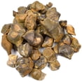 thumbnail image 1 of OULII 1 Pack Brachiopod Irregular Shape Simulation Model For Home Decoration, 1 of 7