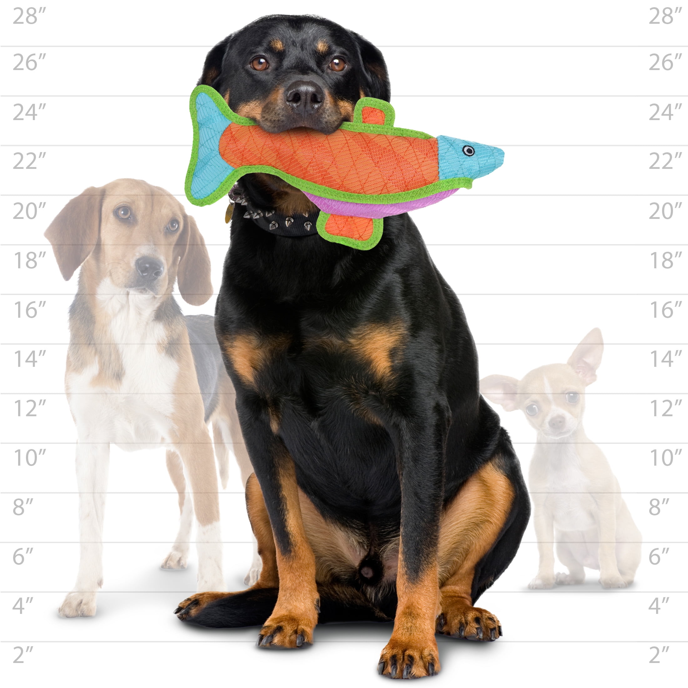 DuraForce Fish Blue Orange Pink Woven Fiber Squeaky Dog Toy