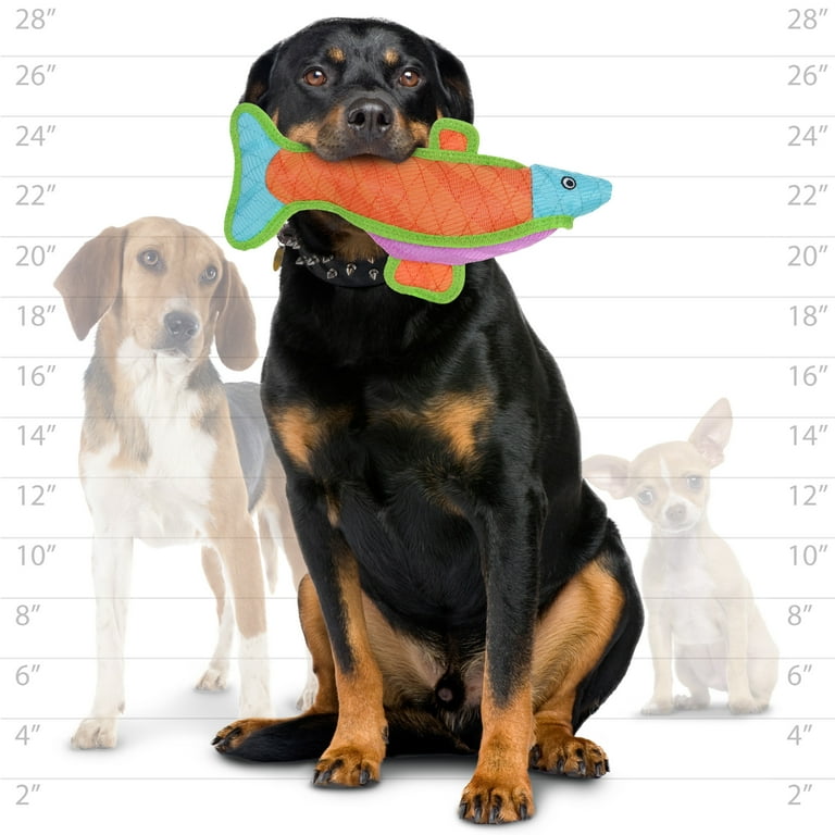 tough toys for large dogs PETSTA Dog Chew Toy