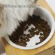 thumbnail image 4 of Cuenco De Agua Para Perros, Cuenco Para Mascotas Con Base De Bambú Y Madera, Boca Inclinada Para Interiores, 4 of 7