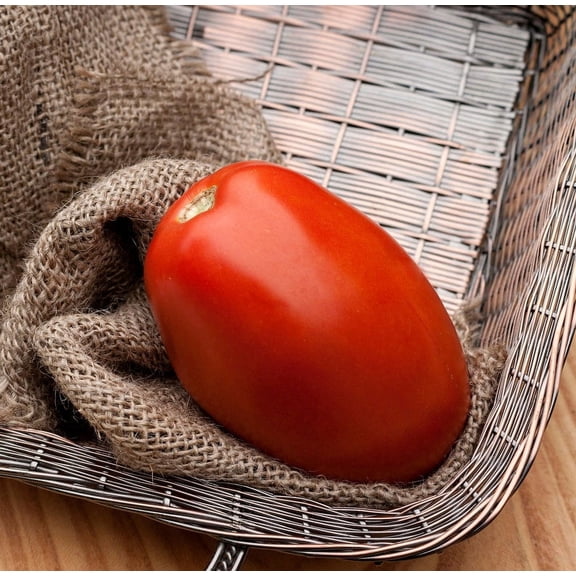 Sherwood's Seeds 10 Romeo Roma Huge Italian Tomato Plant Seeds, Indeterminate