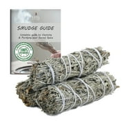 Blue Sage Smudge Sticks Pack of 3 Bundles & Smudge Guide for Smudging, Cleansing, Meditation, Purification (Essential Sages, Blue Sage)