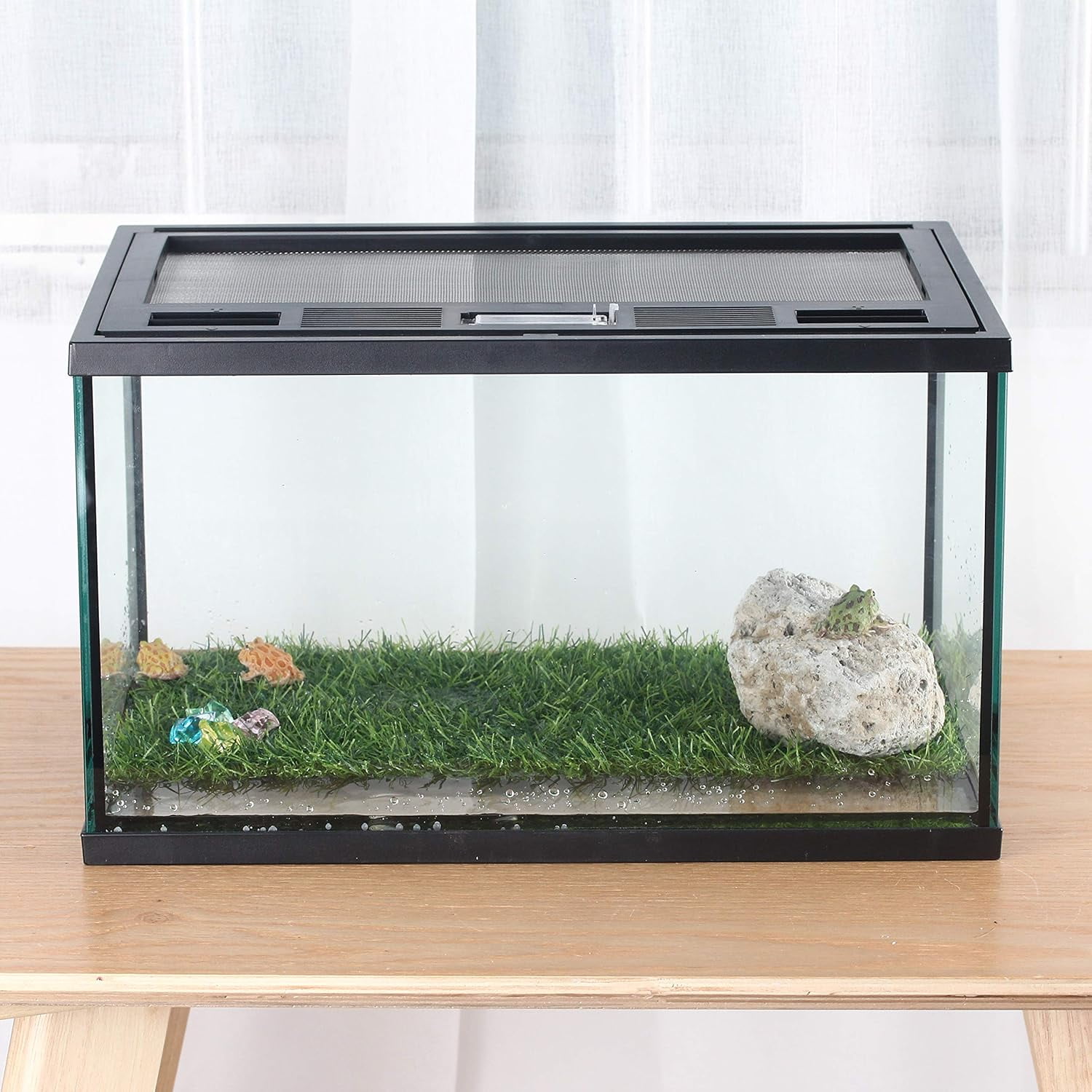 CRAPELLES Frogs Turtle Glass Terrarium Feeding kit 6 Gallon Tank, 15.7×11×9 inches, for Reptile, Insect, Horned Frogs