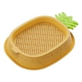 thumbnail image 1 of Linnome Pineapple Shaped Hydroponic Seed Starter Tray Soil Free Nursery For Sprouting And Counter Decor, 1 of 6