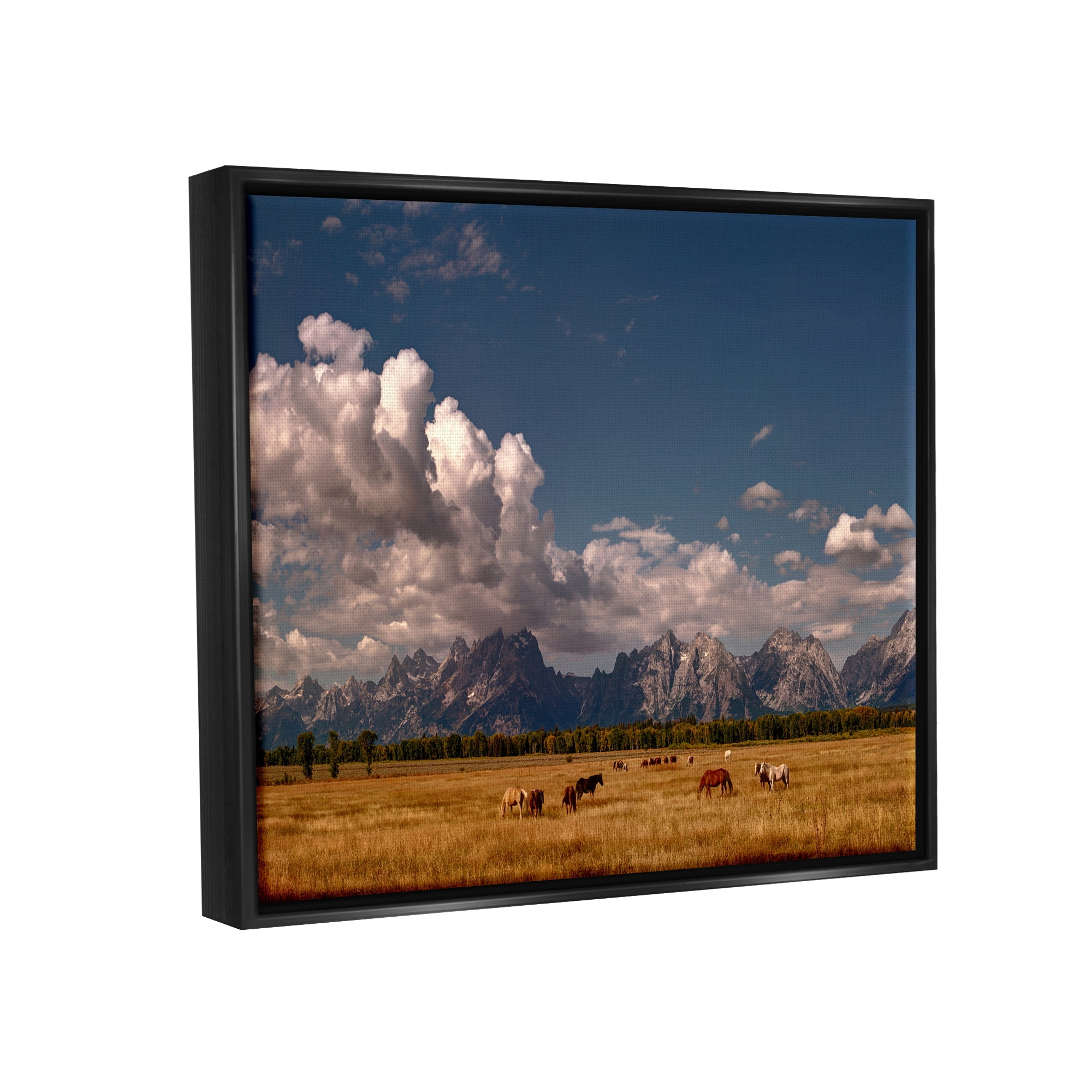 Stupell Industries Horses Grazing Mountain View Nature Photography Black Floater Framed Art Print Wall Art, 21 x 17