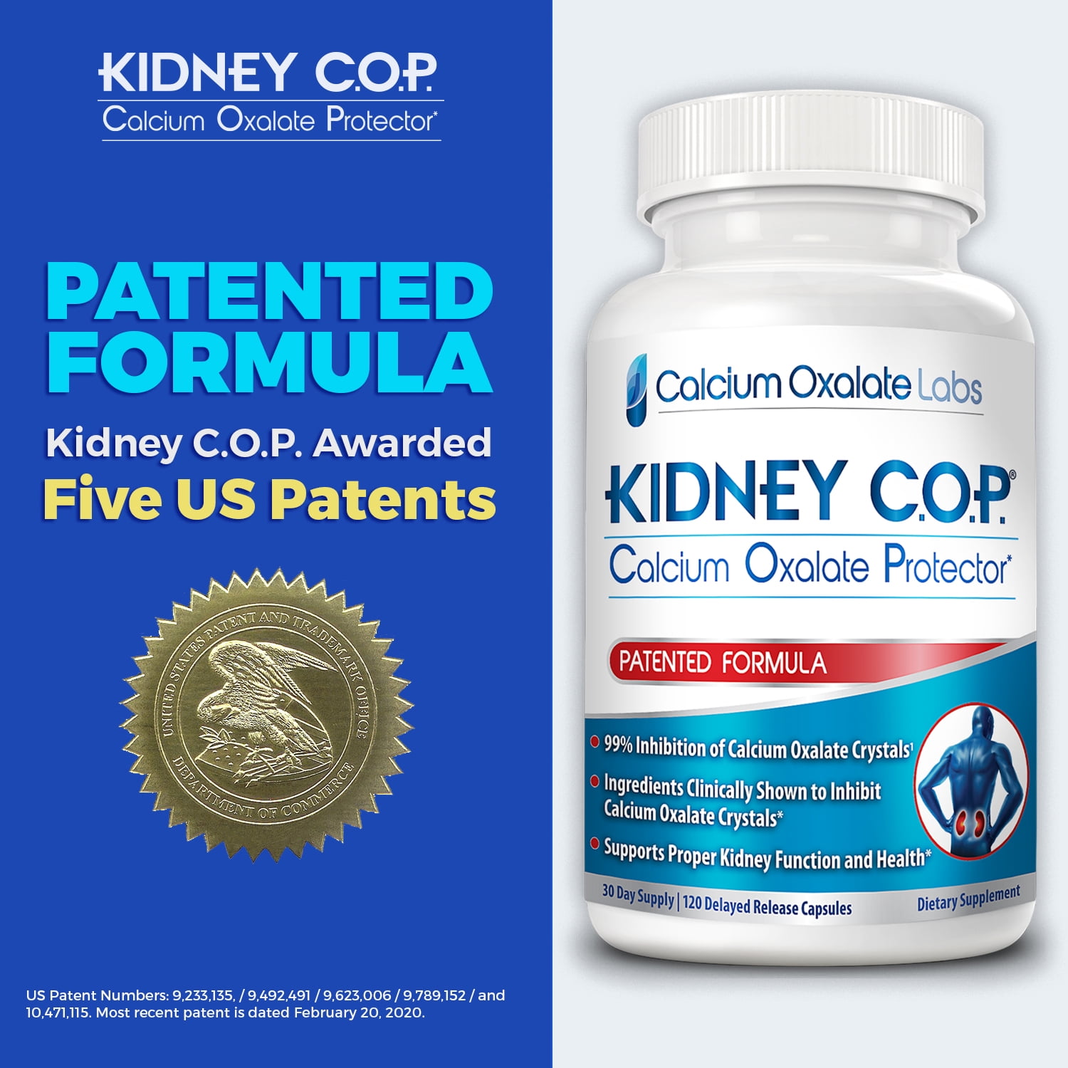 Kidney COP Patented Supplement for Calcium Oxalate Stones