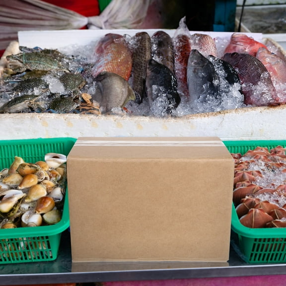 FRCOLOR 2pcs Aluminum Insulated Shipping Container Thermal Cold Storage Box Thermal Transport Box for Medical Supplies  Cold Storage Packaging