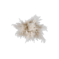 thumbnail image 4 of Home Decor Collection 16.5 " Pampas Dried Grass in Brown Ceramic Vase Made for Tabletops- 2 lbs, 4 of 9
