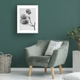 thumbnail image 3 of Trademark Fine Art Pictufy Ptelea Trifoliata Canvas Wall Art, 3 of 4