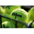 Wilson Championship High Altitude Tennis Balls, 3 Ball Can