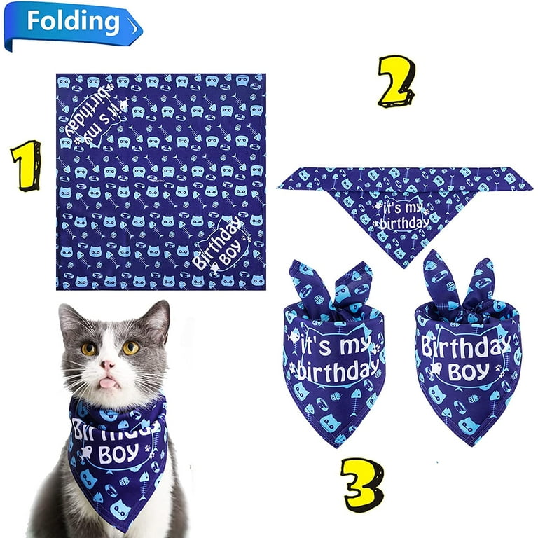 Cat birthday cheap bandana