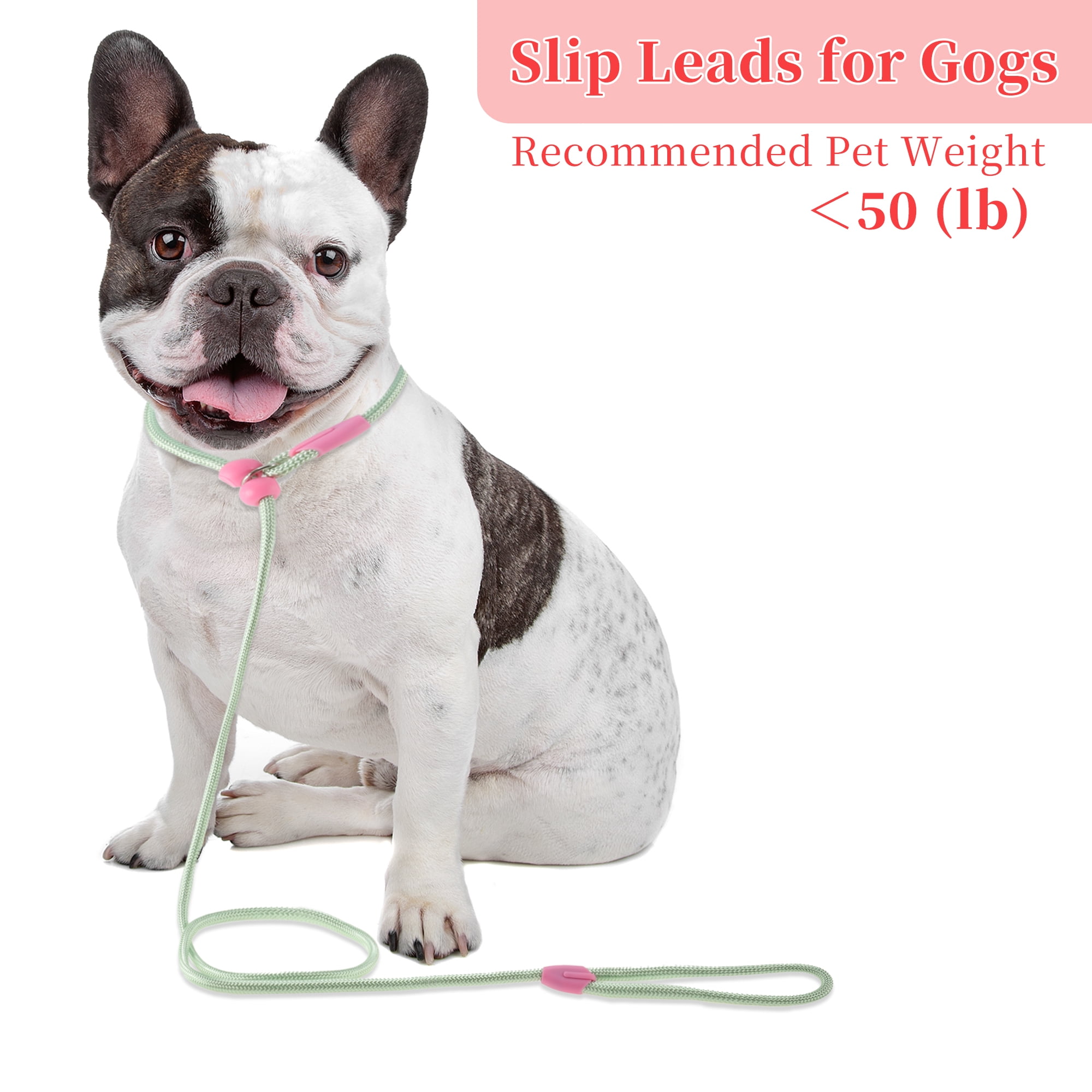 Unique Bargains Slip Leash for Dogs No Pull Heavy Duty Training Leash Medium Green 5ft