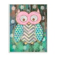 thumbnail image 2 of The Kids Room by Stupell Distressed Woodland Owl Wall Plaqueby Reesa Qualia, 2 of 6