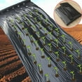 thumbnail image 2 of Agriculture Mulch Pre-punched Hole Plastic Film Greenhouse Weeds Control Mylar Strawberry Vegetable Nursery Planting Tools, 2 of 9