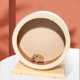 thumbnail image 5 of Chinchilla Exercise Wheel, Hamster Cage Accessories, Small Animal Toy Running Wheel, 5 of 5