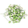 thumbnail image 1 of 100 piezas de hongos para terrario en miniatura, decoración de terrario, jardín de hadas tal como se describe, 1 of 8