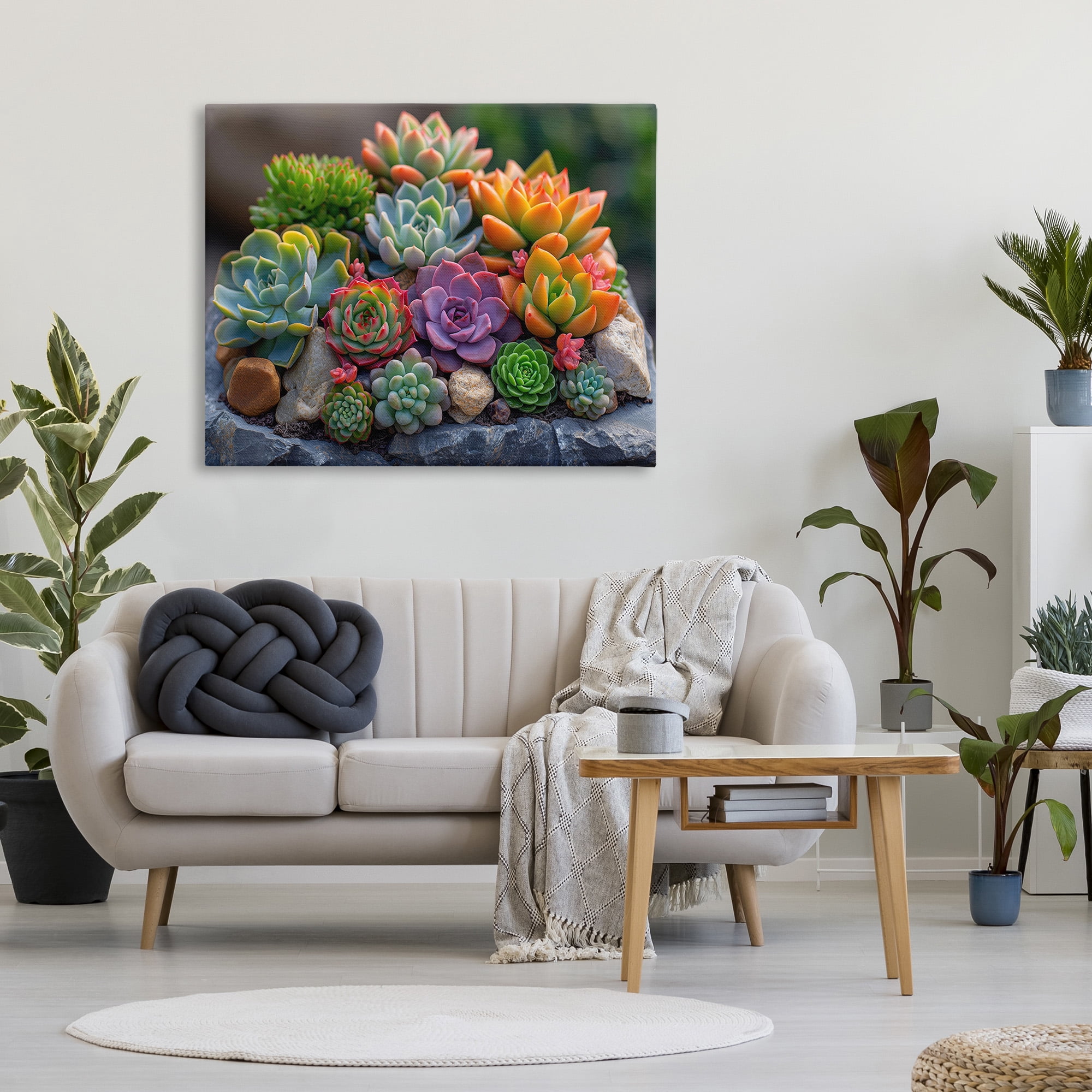 Stupell Industries Varied Succulents Photography Botanical & Floral Photography Gallery Wrapped Canvas Art Print Wall Art, 48 x 36
