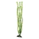 thumbnail image 1 of Planta de acuario Underwater Treasures Green Cabomba 20 cm, 1 of 1