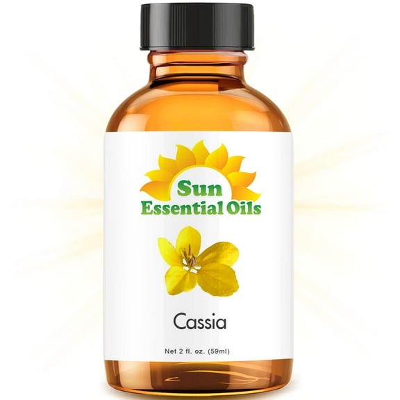 Cassia Essential Oil (Huge 2oz Bottle) Bulk Cassia Oil - 2 Ounce