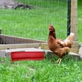 thumbnail image 2 of Automatic Chicken Feeder Poultry Food Container for Feeding 1 Piece, 2 of 3