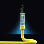 Maximm Cat 6 Ethernet Cable 50 Ft,Cat6 Cable, LAN Cable, Internet Cable, Patch Cable and Network Cable - UTP (Yellow) 50 Feet ethernet Cord