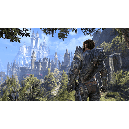 Bethesda Softworks Elder Scrolls Online: Summerset for PlayStation 4