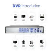 ANNKE 5MP Lite 8CH DVR Video Recorder with AI Human/Vehicle Detection, Hybrid 5-in-1 CCTV DVR for Surveillance Camera, Remote Access (1TB HDD)24/7 Record