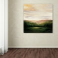 thumbnail image 3 of Trademark Fine Art 'Celebration' Canvas Art by Julia Purinton, 3 of 3