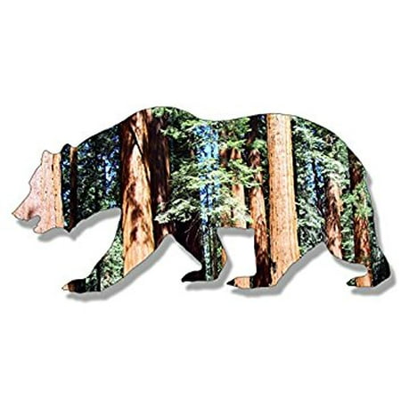 California Bear Shaped SEQUOIA Sticker Decal (national park ca rv) 3 x 6 (Best Sequoias In California)