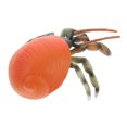 thumbnail image 3 of Plastic Pagurian Model Toy Realistic Marine Animal Model Plastic Model Toy Decor, 3 of 9